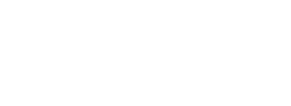 DIGEL Shoes Logo