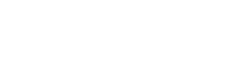 DIGEL Logo